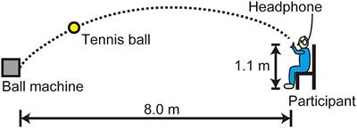 Virtual reality modulates the control of upper limb motion in one-handed ball catching